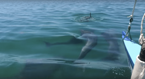 Screenshot 2019-10-31 13.22.54